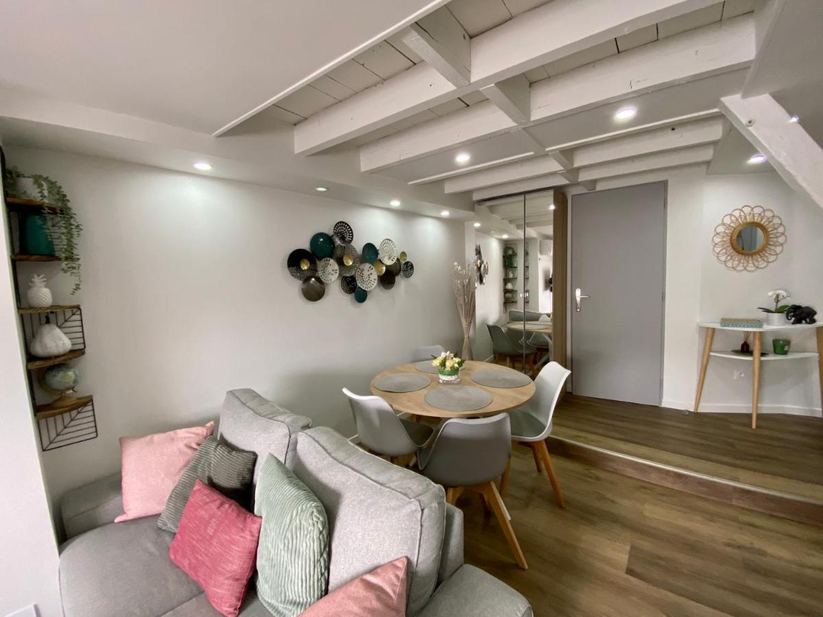 Comfortable Air-Conditioned T3 In The Heart Of Amboise With Parking Space Zewnętrze zdjęcie