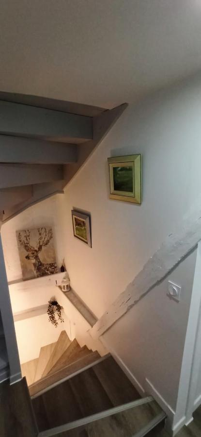 Comfortable Air-Conditioned T3 In The Heart Of Amboise With Parking Space Zewnętrze zdjęcie
